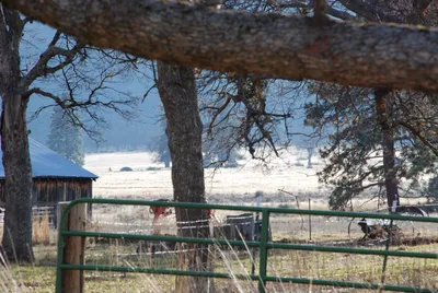 DSC_0031 (Large).JPG